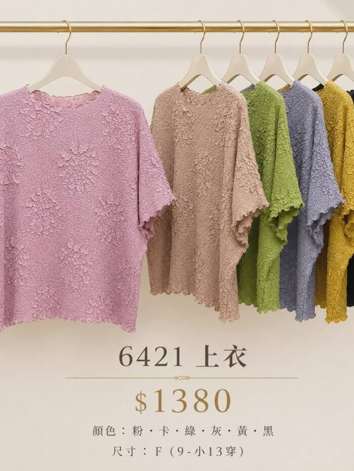 〚獨家大牌〛上衣272101 6420a